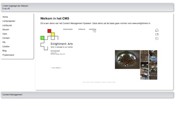 Invullen nieuwe website