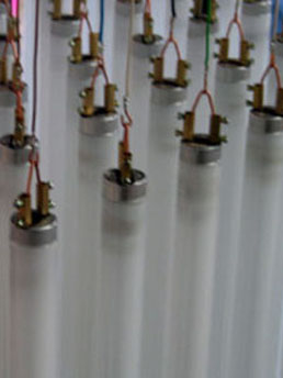 uploads/images/detail_1.jpg