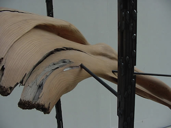 Lentesalon 2011 en Overspel